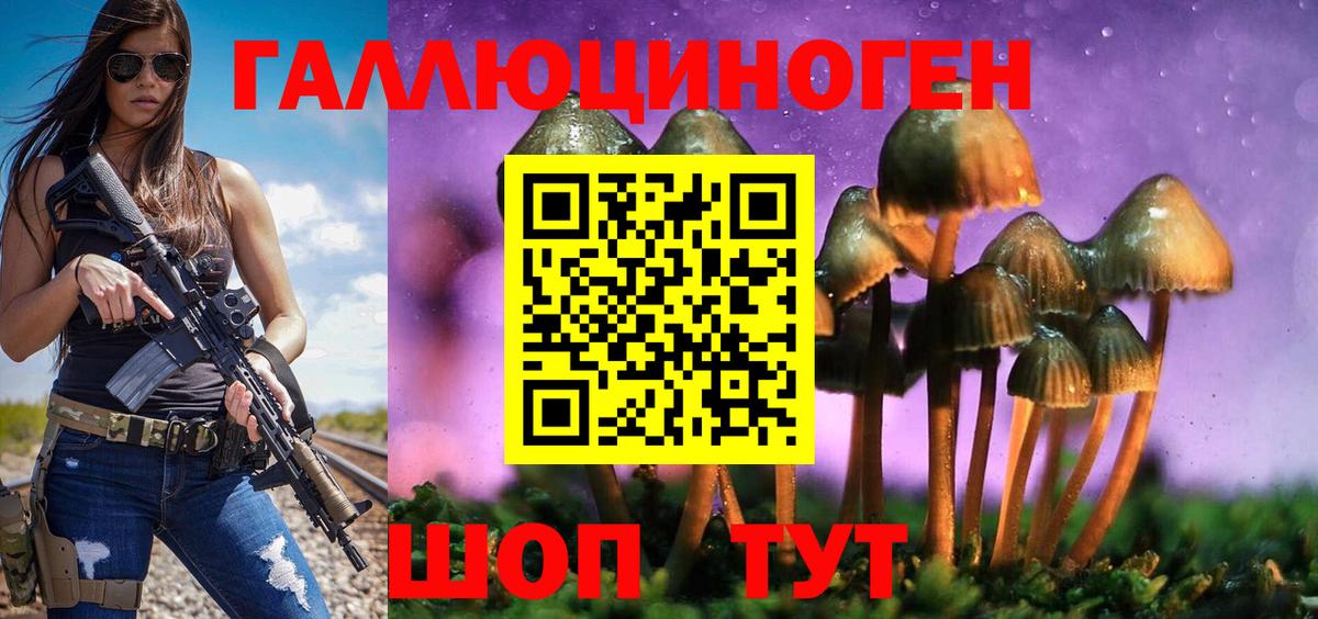 Назарово  Галлюциногенные грибы Cubensis  Вход с VPN 